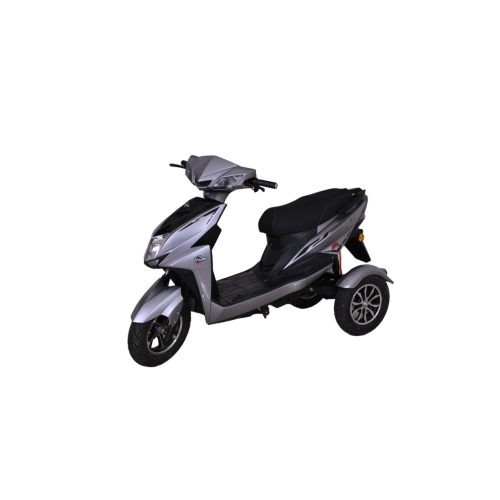 Adobe Express 2024-12-23 16.19